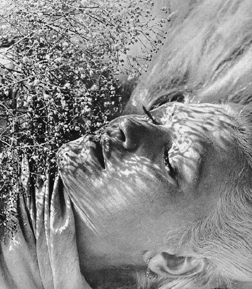 Bakuchiol vs retinoids comparison for longevity skincare